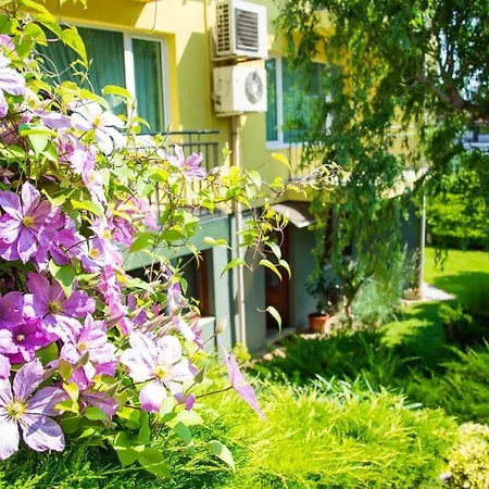 костадинов 3* Varna