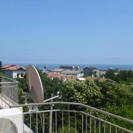 костадинов 3*