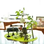 костадинов 3*