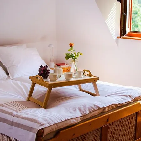 Penzion костадинов