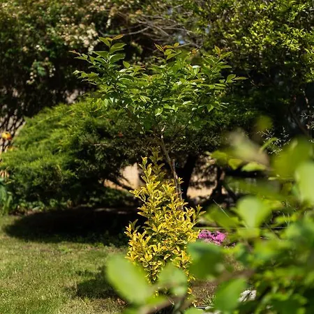 בית הארחה костадинов