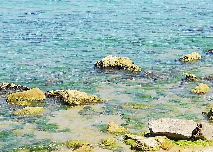 костадинов