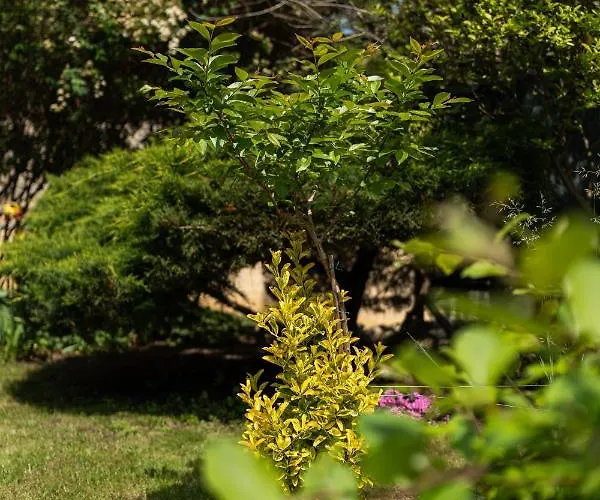 Gæstehus костадинов